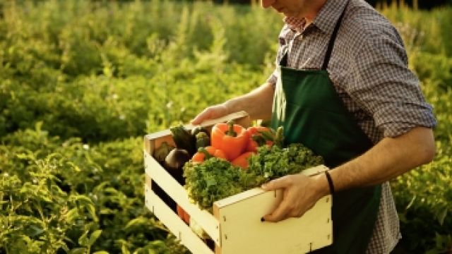 In Sardegna l'agricoltura bio taglia di un terzo i consumi energetici