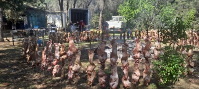L'Agnello di Sardegna Igp protagonista del pranzo di Pasquetta dell'Isola