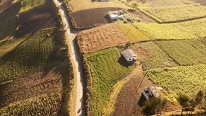 Agricoltura, l'assessore Satta: 115 milioni in 5 anni per tutto il comparto, ora &egrave; una certezza