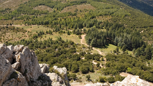 Unioni dei Comuni e Comunit&agrave; Montane, 11 milioni alla Sardegna