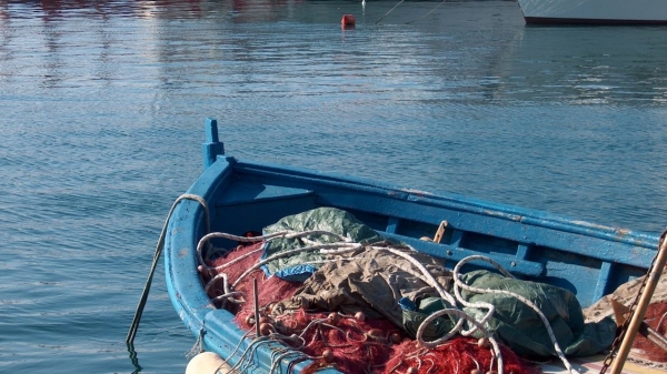 Primo tavolo pesca-lagune, condivisione del metodo per risolvere i problemi, Todde: "Sar&agrave; a scadenza mensile, proporremo subito soluzioni"