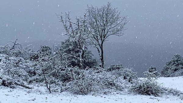Arriva la neve in Sardegna: scatta l'allerta da oggi