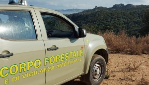 Trattative in corso per arrivare al nuovo contratto del Corpo Forestale
