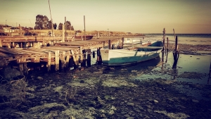 Piscedda (Pd): "Sulla laguna di Elmas il sindaco ha perso cinque anni"