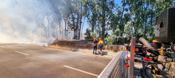 Trovato l'accordo sul contratto, revocato lo sciopero di Forestas