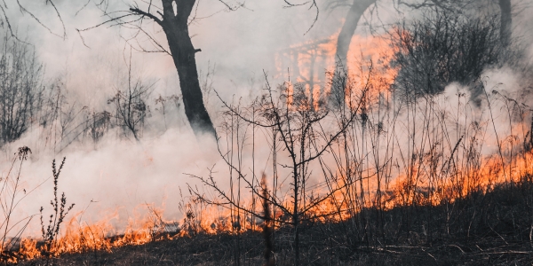 Procedure operative della Protezione civile comunale per rischio incendio a Cagliari