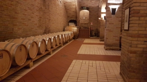 Domenica 5 febbraio, la rassegna enogastronomica suonidivini far&agrave; tappa a Settimo San Pietro