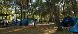 Faita Federcamping Sardegna, turismo in balia dei prezzi pazzi dei trasporti: deviano la domanda su altri mercati