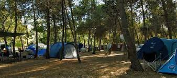Faita Federcamping Sardegna, turismo in balia dei prezzi pazzi dei trasporti: deviano la domanda su altri mercati