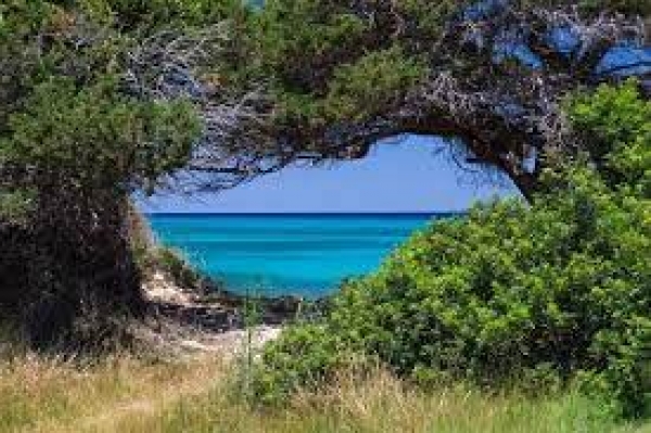 Ambiente, ad Orosei progetto pilota su rischio delle ondate di calore
