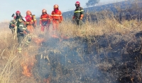 La &ldquo;contrattazione separata&rdquo; per gli appartenenti al Corpo Forestale e di Vigilanza Ambientale della Regione