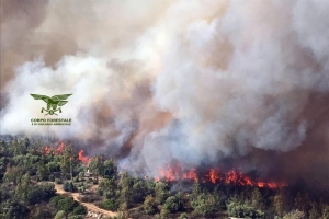 Ambiente, piano regionale di prevenzione e lotta contro gli incendi boschivi 2025