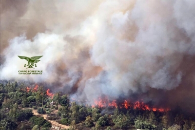 Ambiente, piano regionale di prevenzione e lotta contro gli incendi boschivi 2025