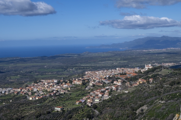 Delibera Giunta regionale sostegno ai Ccn: &ldquo;La strada &egrave; giusta ma serve pi&ugrave; coraggio&rdquo;