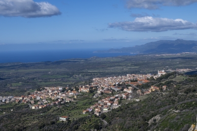 Delibera Giunta regionale sostegno ai Ccn: &ldquo;La strada &egrave; giusta ma serve pi&ugrave; coraggio&rdquo;