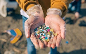 Giornata Mondiale del riciclo, in Sardegna bene la raccolta differenziata degli imballaggi