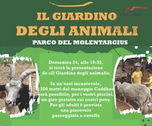 “Il Giardino degli Animali” è la nuova iniziativa nel Parco di Molentargius