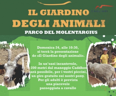 &ldquo;Il Giardino degli Animali&rdquo; &egrave; la nuova iniziativa nel Parco di Molentargius