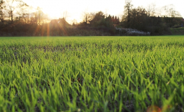Accesso al credito per le aziende di prodotti Bio-based: workshop di Biovoices
