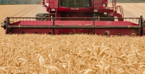 La Regione cambia le regole per il lavoro nei campi durante le ondate di calore