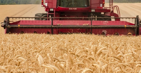 La Regione cambia le regole per il lavoro nei campi durante le ondate di calore