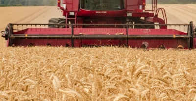 La Regione cambia le regole per il lavoro nei campi durante le ondate di calore