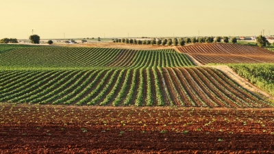 Complemento di sviluppo rurale, firmato Protocollo d&rsquo;intesa tra Assessorato e ABI per favorire l&rsquo;accesso al credito. L&rsquo;assessore Agus: "Rafforziamo collaborazione tra Regione e Sistema bancario per facilitare gli investimenti&rdquo;