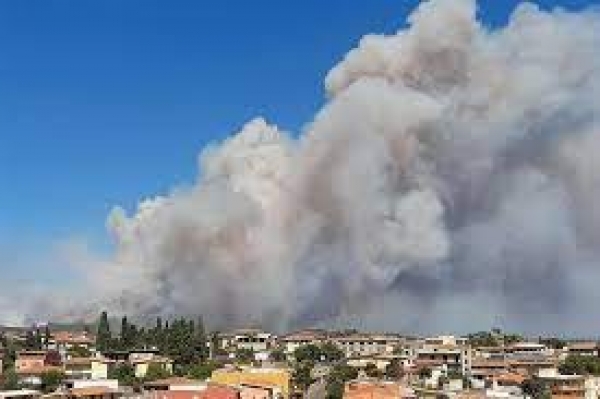 Incendi: ferma condanna di Solinas verso gli autori