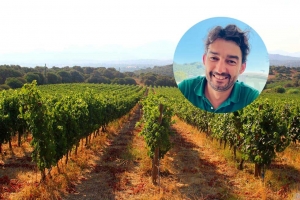 L&rsquo;enologo Andrea Pala: &ldquo;Il Vermentino di Gallura &egrave; il re dei vini dell&rsquo;estate 2023. I turisti italiani e stranieri lo hanno preferito ai grandi vini nazionali famosi in tutto il mondo"
