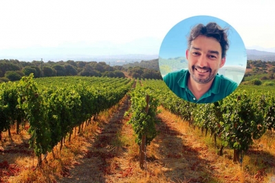 L&rsquo;enologo Andrea Pala: &ldquo;Il Vermentino di Gallura &egrave; il re dei vini dell&rsquo;estate 2023. I turisti italiani e stranieri lo hanno preferito ai grandi vini nazionali famosi in tutto il mondo"