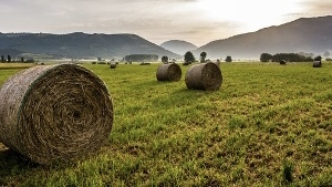 Parteolla, dalla finanziaria 7 milioni per l'efficientamento irriguo delle campagne