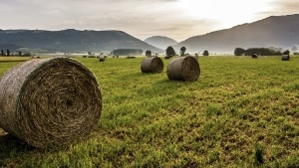 Parteolla, dalla finanziaria 7 milioni per l'efficientamento irriguo delle campagne