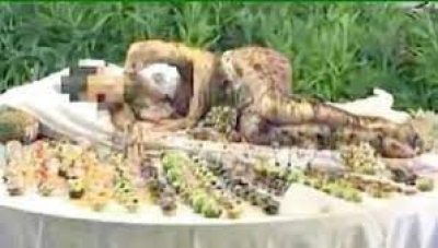 Modella ricoperta di cioccolato, Solinas: "Un episodio che offende tutti"