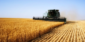 Agricoltura, pagamenti per la riduzione dell&rsquo;antimicrobico resistenza e per il benessere animale: modificati i valori soglia per accedere agli aiuti