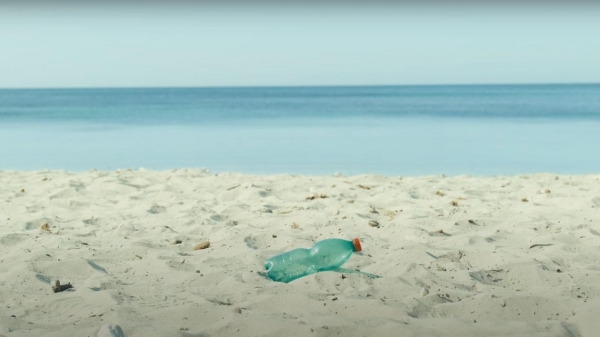 Ambiente: rete INFEAS, la Regione approva le linee di indirizzo e stanzia 5 milioni e 530 mila euro per l&rsquo;educazione ambientale nel triennio 2026&ndash;2028