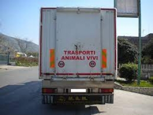 Trasporto animali vivi e scarti di lavorazione, l'assessore Moro convoca le compagnie di navigazione