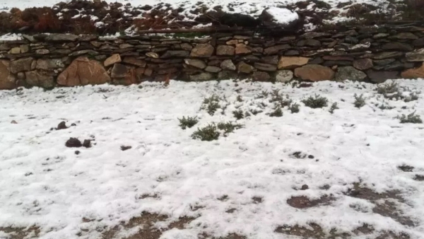 Dichiarazione dell&rsquo;assessora dell&rsquo;Ambiente e della Protezione civile, Rosanna Laconi, sull&rsquo;emergenza neve a Seulo