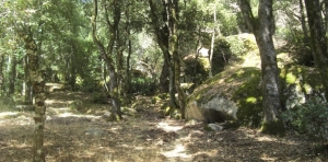 Oltre 48 milioni per la scuola forestale a Nuoro, i collegamenti stradali per l&rsquo;Einstein Telescope e una rsa a Oliena