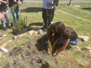 Parco di Monte Claro, mercoled&igrave; 5 giugno la festa degli alberi Green School