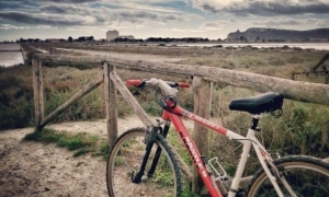 Insieme LiberaMente, il progetto di salute e benessere: a piedi e in bici a Molentargius