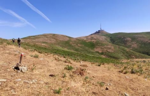 Agricoltura, approvata la graduatoria per i finanziamenti ai Gal