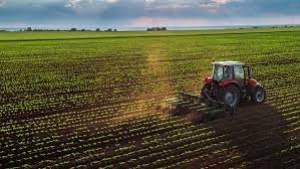 Agricoltura: via libera dalla Regione ai contributi assicurativi per i consorzi di difesa