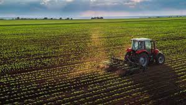 Agricoltura: via libera dalla Regione ai contributi assicurativi per i consorzi di difesa