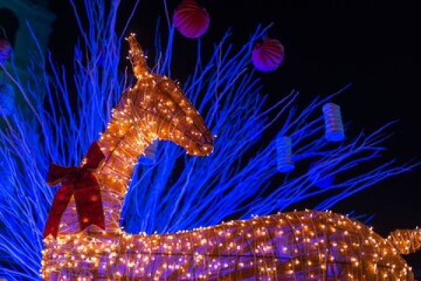 Natale e fine anno 2026: al via le manifestazioni di interesse per l&rsquo;installazione delle luminarie